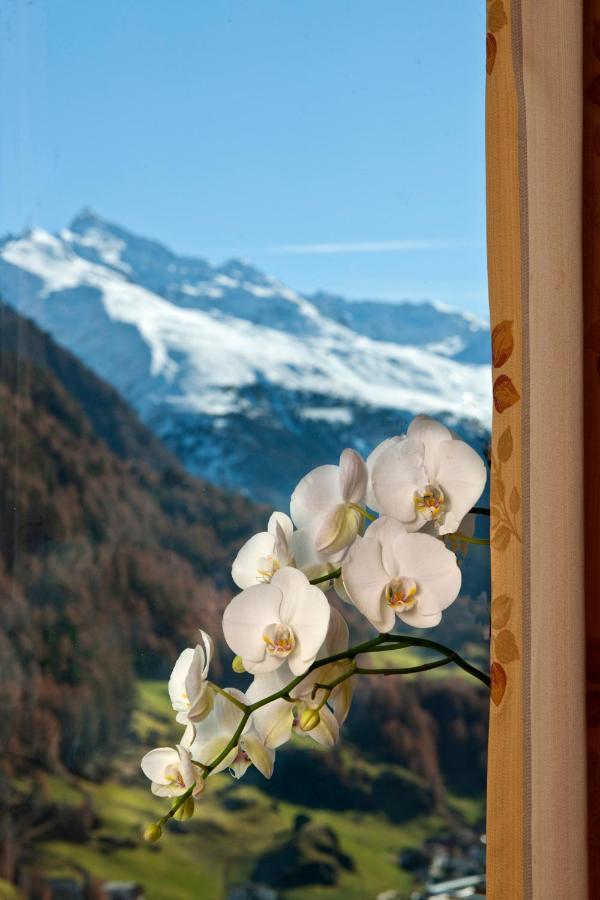 Alp Resort Tiroler Adler Sölden Dış mekan fotoğraf